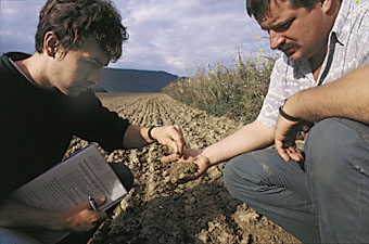 Al via 40 corsi di formazione per gli imprenditori agricoli pugliesi