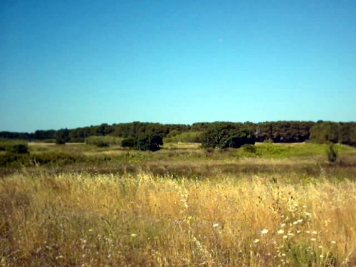 Salento. Aree protette al vaglio della Corte Costituzionale