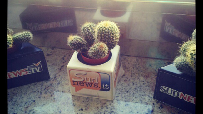 Sudnews
