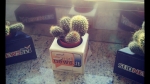 Sudnews