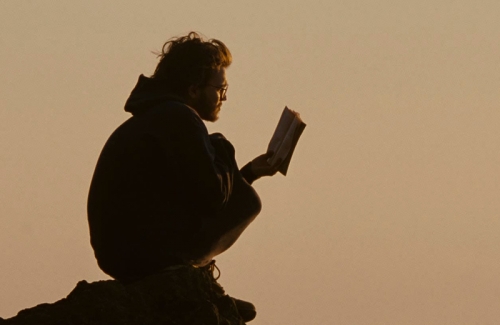 Into the wild