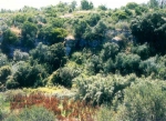 "A Spasso per i Parchi", iniziativa gratuita delle Guide...