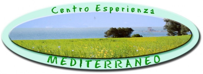 Progetto Differentemente-Scuola per la raccolta differenziata