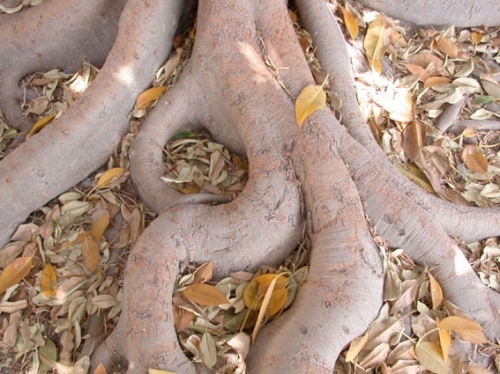 Nardo', Enclave urbana da salvare: una questione di qualità