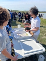 Nel Mar Piccolo di Taranto biodiversità in aumento