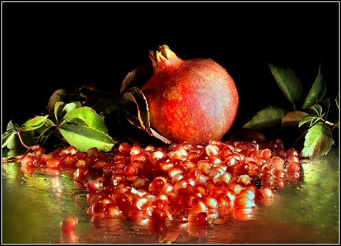 Copertino, il melograno come nuova coltivazione in frutticoltura...