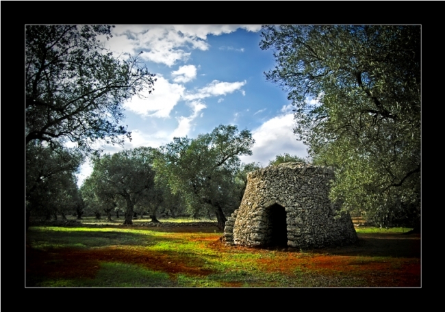 Fotografie dell'artista Vincenzo Perrone in esposizione a Roma
