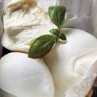 Taranto, la diossina è anche a tavola? Codici invita a promuovere...