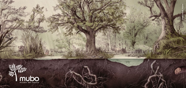 Supersano, inaugurazione del Museo del Bosco