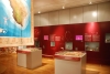 museo musa