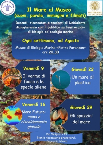 meduse