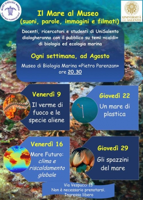 meduse