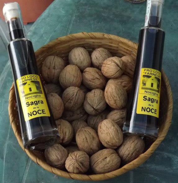 nociglia
