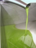 Coldiretti: evitare che l'olio spagnolo divenga miracolosamente Made...