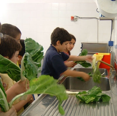 Campi Salentina, parte il progetto "Un orto Botanico"
