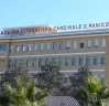 Scuola infermieri, Capone: stage e tirocini continueranno al Panico