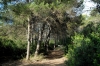 Porto cesareo, incendio parco Regionale "Palude del Conte e Duna...