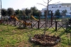 Parco Corvaglia a Lecce, la Poli dice sì alla proposta di Vivere...
