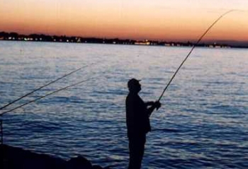 Vuoi condividere la tua pescata?