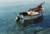 Riserva Marina Porto Cesareo, convegno tutela dell'Ambiente e...