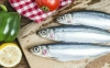 pesce azzurro