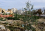 Piazzetta Schipa