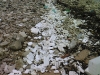 "Nevicata" a Portoselvaggio. Dopo la mareggiata spiaggia...