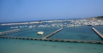 pontili