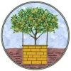 Il Pozzo e l'Albero