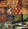 Sarà ripresentato il decreto anticrisi per il mercato ortofrutticolo