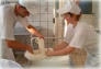 Il prezzo del latte in Puglia, saltata la trattativa tra produttori e...