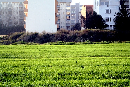 Contratti di Quartiere, quartiere Stadio e San Sabino saranno...