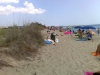 Torre Mozza, i rifiuti non si  raccolgono a due passi dai bagnanti