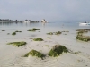 bassa marea