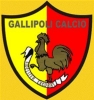 Potenza-Gallipoli,  probabile il terzo tempo alla fine dell'incontro