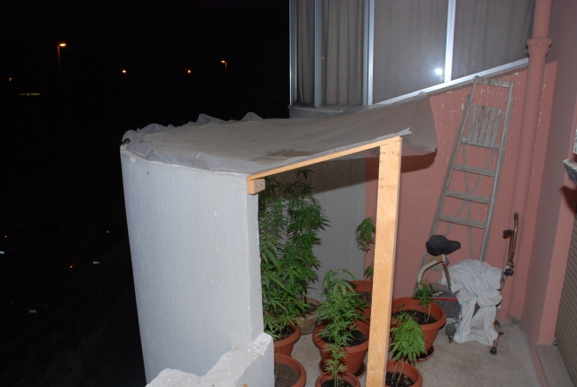 Lecce, coltivava marjuana in casa, preso spacciatore