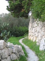 Tutela e valorizzazione del territorio e del paesaggio delle Serre...