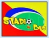 Stadioinbus, il regolamento dell'intesa tra Provincia e Us Lecce