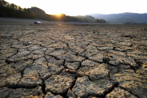 Cambiamenti climatici