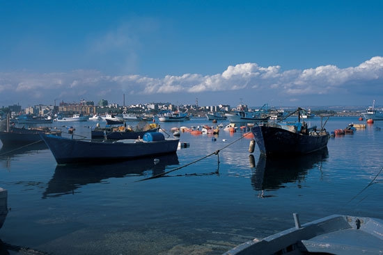 Mitili a Taranto. Vendola convoca tavolo tecnico questo pomeriggio