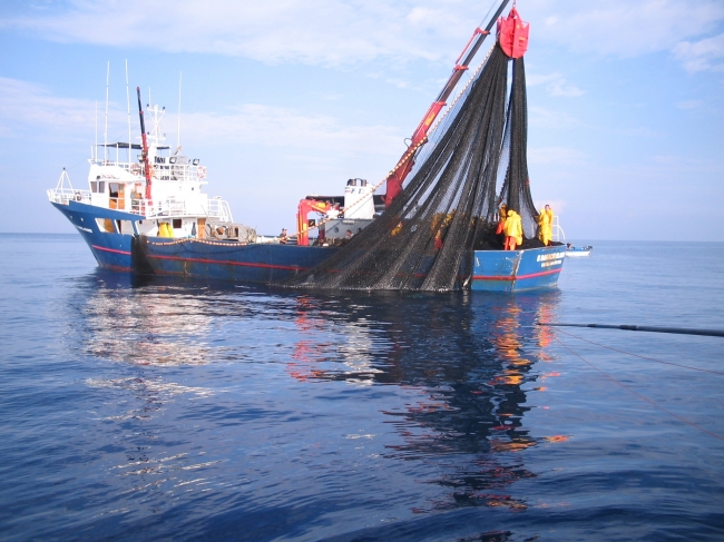 Tonnare volanti e la distruzione del mare, Antonio Quarta ne parla su...