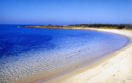 Torre Guaceto, "Terra e racconti", il programma degli...