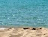 Legge regionale su agenzie di viaggio e turismo