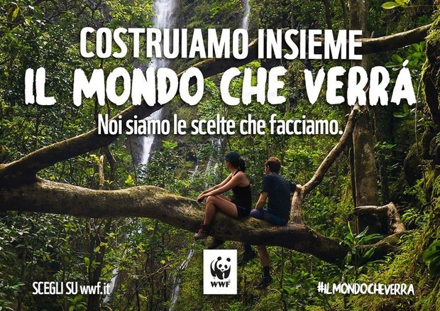 Wwf, Le Cesine, patrimonio naturale del territorio salentino