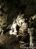 Grotta Zinzulusa (Comune di Castrignano). Una Stalagmite