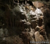 I cosiddetti zinzuli della Grotta Zinzulusa (Comune di Castrignano)