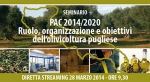 Ruolo, organizzazione e obiettivi dell’olivicoltura pugliese